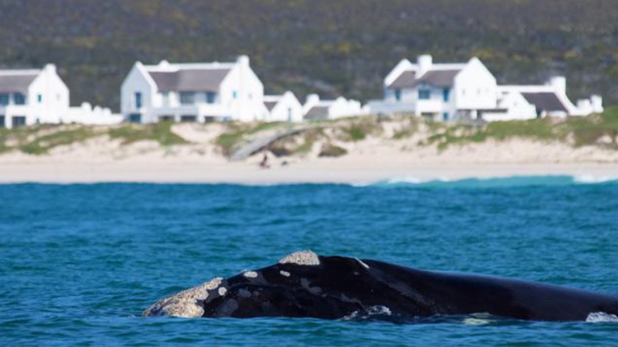 2 Bedroom Property for Sale in Struisbaai Western Cape